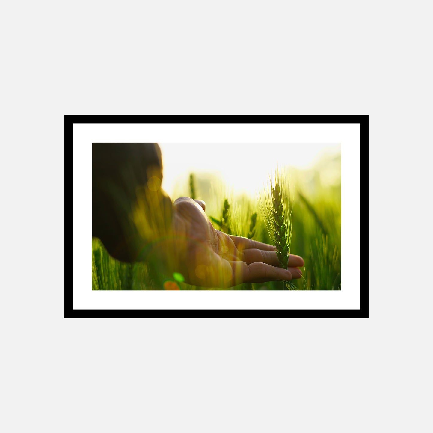 TouchMeGreen
