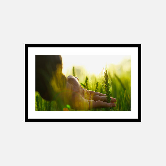TouchMeGreen