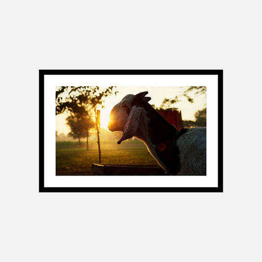 Village Dawn