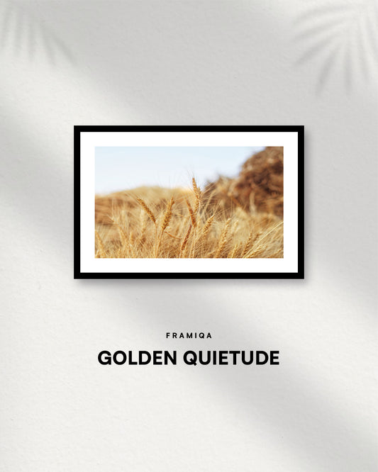 Framed golden wheat field photography art print with soft, neutral tones. Ideal for modern farmhouse or bohemian living room decor.